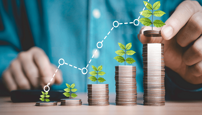 Wealth Management